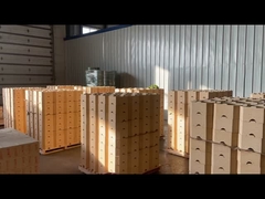 DN14 火の粘土レンガ 低孔質の粘土レンガ 42%-47% Al2o3 高温の火の粘土レンガ